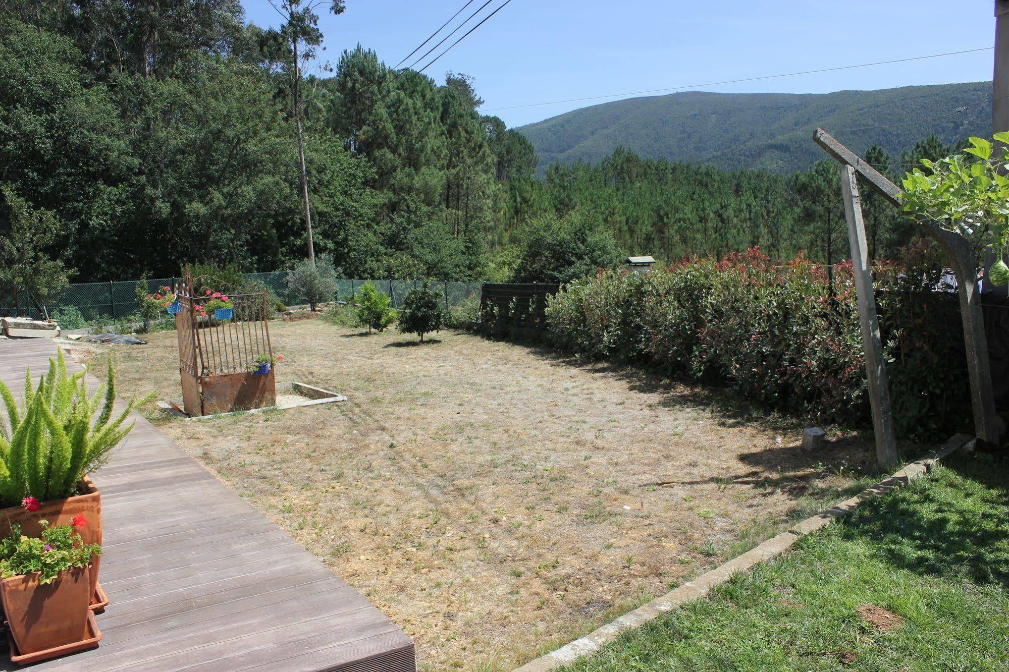 Casa Do Porto Carreiro Villa Oliveira de Azeméis Eksteriør billede