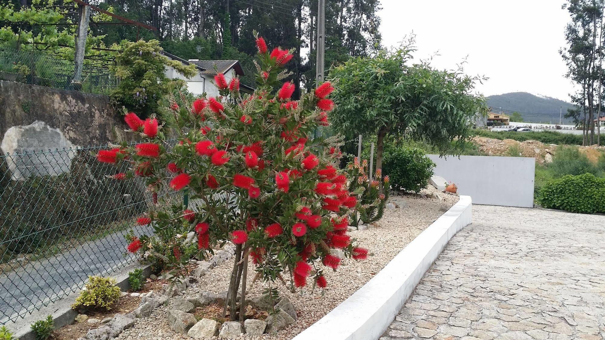 Casa Do Porto Carreiro Villa Oliveira de Azeméis Eksteriør billede
