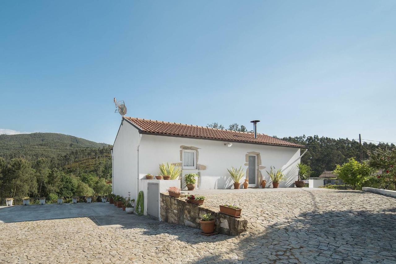 Casa Do Porto Carreiro Villa Oliveira de Azeméis Eksteriør billede