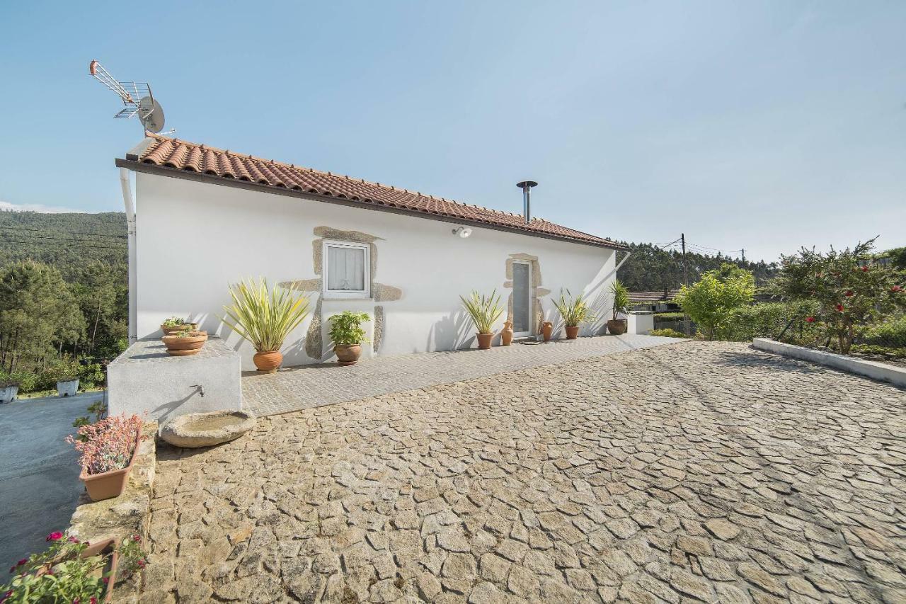 Casa Do Porto Carreiro Villa Oliveira de Azeméis Eksteriør billede